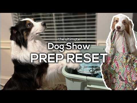 The Ultimate Dog Show Prep Reset | 2026 Season