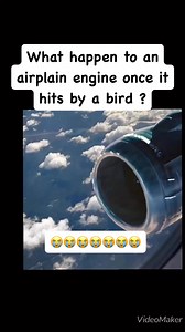 What happened to an airline engine once it hits by flocking bird? #bird #adsonreelsmonitazation #nonfollowersviewers #viralreelsシ #highlightsシ゚ #viralvediotoday #highlights #followersシ゚ #nonfollowers #everyone #airlines @airlineengine | Mechela Pamonag Italia