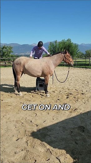 Understanding Horse Bucking: Silence, Motion, and Safety #shorts
