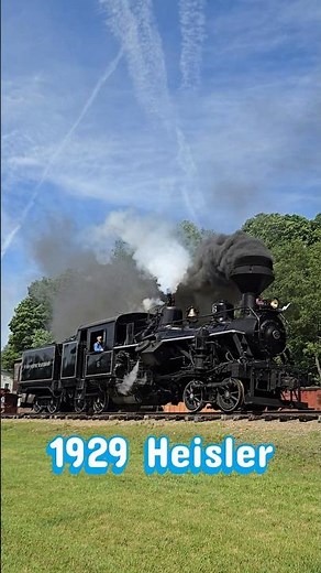 Five Steam Giants! Shays, Heisler & Climax at Cass Parade of Steam 2026