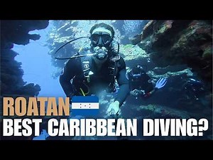 What Scuba Diving Roatan, Honduras ACTUALLY Looks Like
