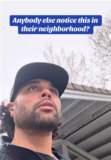 Where Did They All Go?