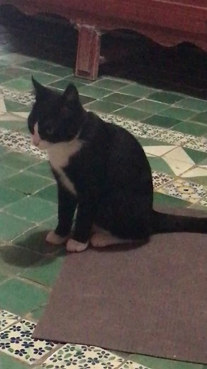 Videos de Val Cortéz (@ms.valdarling) con “original sound - 치르형”