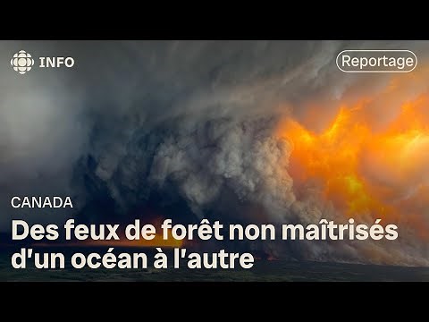 Forest fires: Canada burns from Vancouver Island to Newfoundland