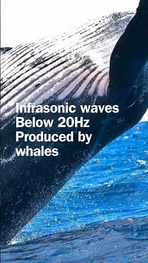 Sound waves | categories of sound waves based on frequencies| ultrasonic vibration #physics