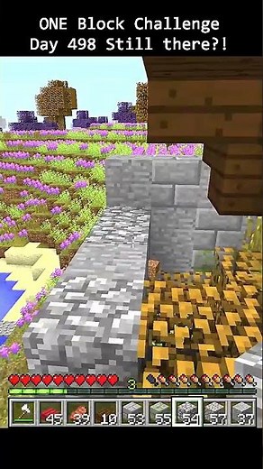 Day 498 Minecraft build challenge - ONE BLOCKS BUILD
