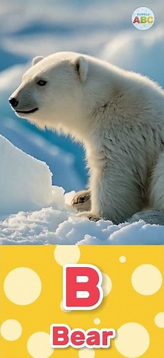 🌌 Galaxy ABC Journey! 🌟🦄🐋 | Cosmic Learning Fun | Bubble ABC