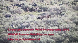 15K views · 358 reactions | A fantastic weekend in the park again...