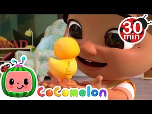 Numbers Song with Little Chicks | @Cocomelon - Nursery Rhymes | Nursery Rhymes & Kids Songs