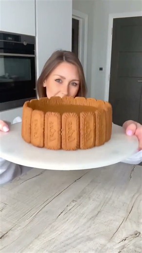 Biscoff Biscuits in kenya