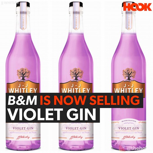 B&M seem to be doing a stupidly cheap gin 👀 | The Hook