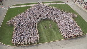 11K views · 495 reactions | Welcome home, Bulldogs! 懶 We’re still swooning over yesterday’s celebrations. Next up: Playfair tonight at 7:00 PM. We’ll see you there! | Butler University | Facebook