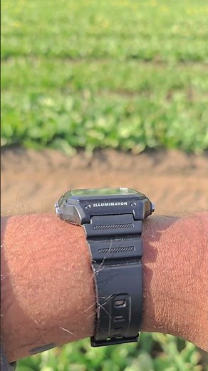The Legendary CASIO ROYALE AE1200WH