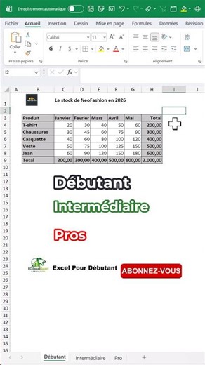 🇫🇷~ Adding in #Excel: Beginner vs Intermediate vs Pro