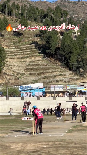 Explore the World of Tape Ball Cricket