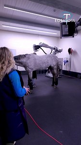 110K views · 1.1K reactions | ROBOT CT SCANN 朗 ♾ Equine Care Group...
