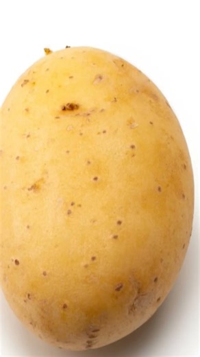 I toke a DNA test #cat #cute #funny #kitten #pets #catbug #kitty #catkid #cartooncat #catdaddy