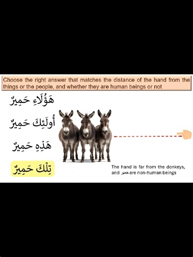 Understanding Arabic Plural Demonstrative Pronouns
