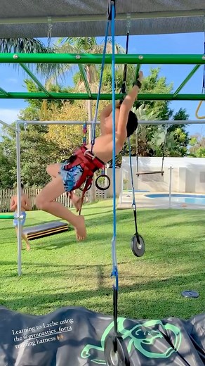 Gymnastics forza system #ninjawarrior #handstands #ninja #calisthenics #gymnastics | Gymnastics Forza