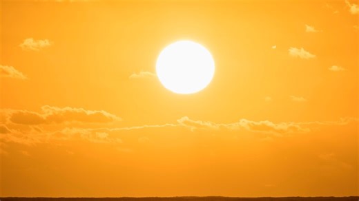 17K views · 317 reactions | A plague of bushflies has descended on the country. Watch the full episode at www.skynews.com.au/flash | Sky News Australia | Facebook