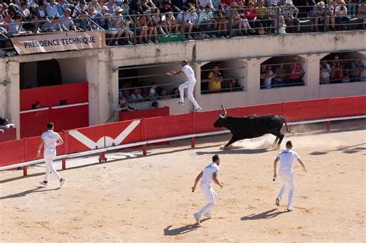 Gard. Cette grande féria fait son retour : des milliers de visiteurs attendus