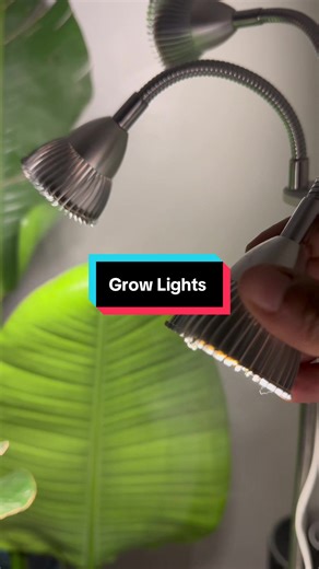 Maximizing Plant Growth with Proper Lighting