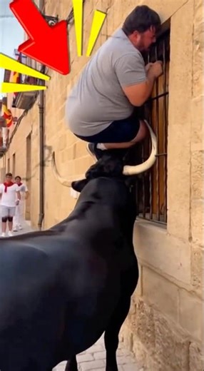 ¡MOMENTO DE PÁNICO TOTAL! 😳 EL TORO LO DEJA SIN SALIDA 🐂💥 #shorts #toros #bulls #encierros