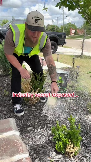 Say bye bye to harsh chemicals.. #lime #pestcontrol #lawncare #outdoors #tiktokshopcreatorpicks