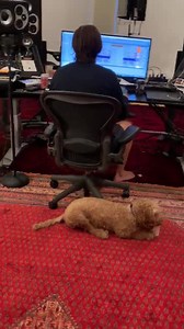 192K views · 8.3K reactions | Roses r red my face is blue here is a song I made it for u | Flume | Facebook