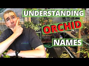 UNDERSTANDING ORCHID NAMES - Orchid Taxonomy for the Amateur!