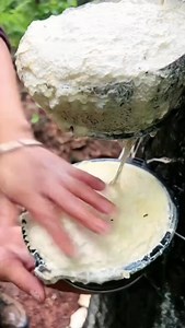 52K views · 427 reactions | Curiosos datos  #mundo #CuriosidadesDelMundo #curiosos | Curiosidades del mundo | Facebook