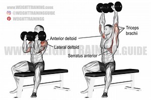 Arnold press exercise instructions and video | Weight Training Guide