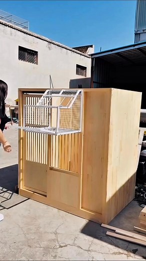 2.5M views · 20K reactions | Small wooden racing pigeon loft #reelsvideoシ #racingpigeons | Amazing Loft | Facebook