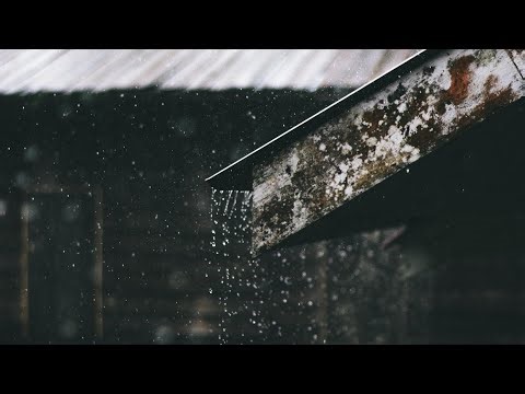 Gentle Rain & Dripping Sounds 🌧️ | Black Screen | 1 Hour