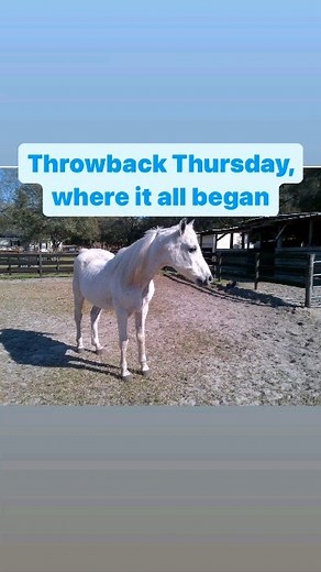 Nancy Lewis Ifbb Pro on Reels