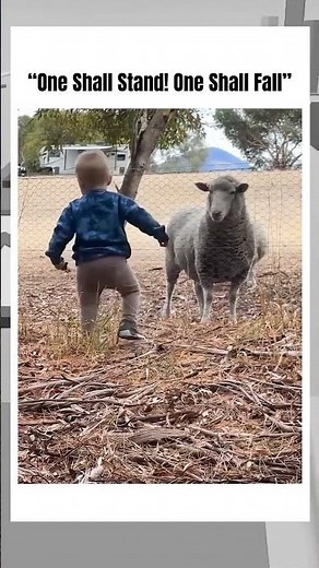 "This Town Ain't Big Enough For Both Of Us" #memes #funny #shorts