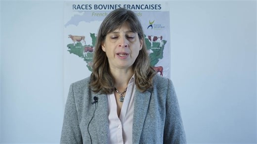 [ #Economie de l'#élevage - Tendances lait et viande novembre 2025 ] Conjoncture #viande bovine 💡 Comment évolue la consommation de viande #bovine en France en 2025 ? En septembre 2025, la consommation par bilan de viandes bovines (y compris veau) a décru de 5% comparée à 2024. ▶️ Les abattages CVJA (corrigés des variations journalières inter-annuelles) de gros bovins ont reculé de 6% en septembre comparés à 2024 (-6 000 téc). La hausse des imports ( 4% /2024, 1 300 téc) n’a pas pu compenser ce