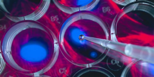 Could getting rid of old cells turn back the clock on aging?