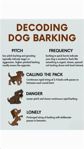 🔊 What’s That Bark About? Decode Your Dog’s Woofs! 🐾🧐