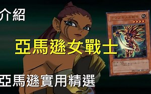 《游戏王：决斗链接》第98期 亞馬遜女戰士 實用精選 Amazoness