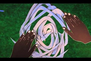 Why are some animals translucent? And how exactly does biological transparency work?