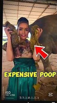 Top 5 Most Expensive Animal Poop in the World 💰💩 #shorts #facts #luxury