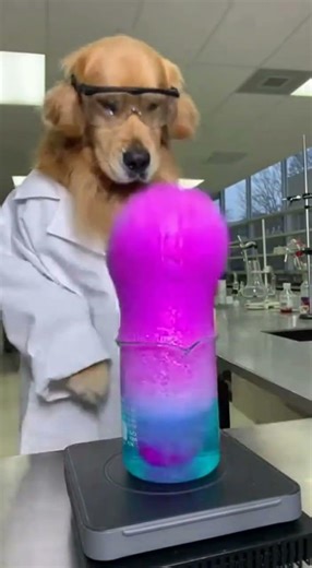 Giant Foam Explosion in the Lab! 🧪