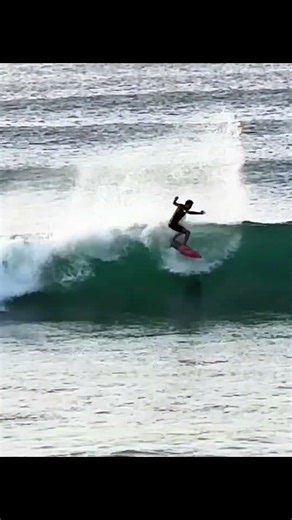 Perfect Timing 🌊 Surfer vs Wave
