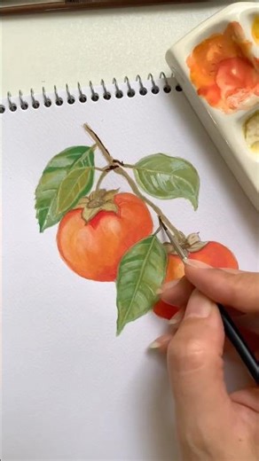 Painting Persimmons with Watercolors or gouache | fruit painting tutorial