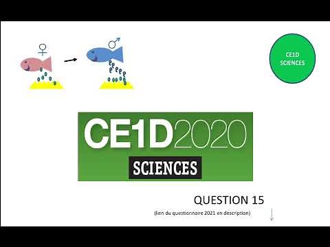 CE1D Sciences 2021 - question 15 + corrigé