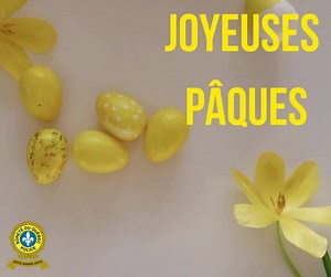 Sûreté du Québec - page officielle. on Reels