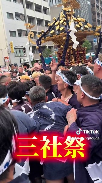 激しく、荒々しく、熱く #三社祭2025 #三社祭 #浅草三社祭 #神輿 #マルキン #丸金 #高橋組