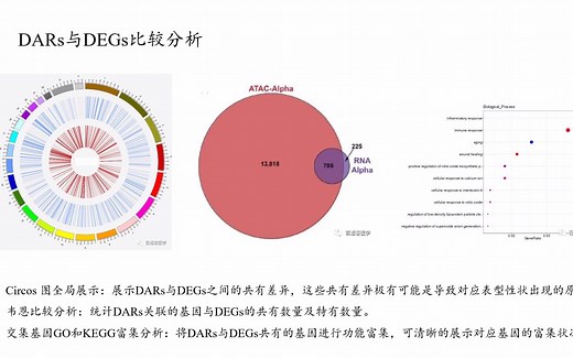 【20220918】【转录组 ATAC-seq联合分析】