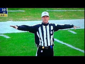 Referee During Eagles vs Ravens Game Appears To Call Pass Interference “On The White Guy”